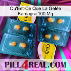 What Is Kamagra Jelly 100Mg cialis5